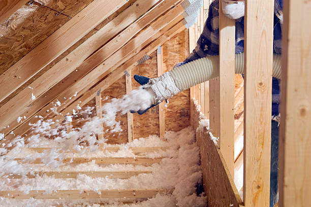 Best Eco-Friendly or Green Insulation Solutions  in Cuba City, WI